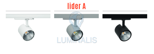 Screenshot_2021-01-19 Karta-LIDER-A pdf.png