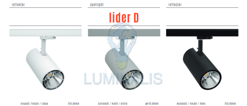 LIDER-D wymiary pdf.png