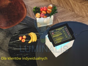 DEZYNFEKTOR UV-C HOME edition