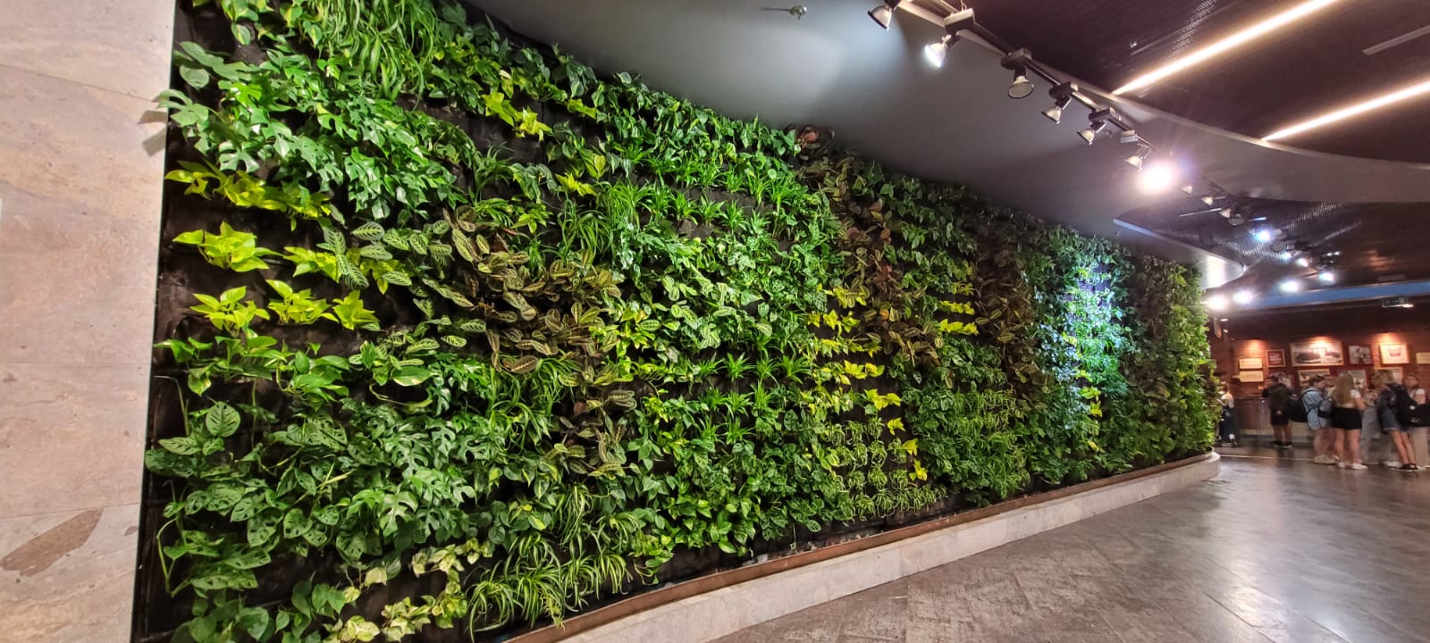 Niezwykłe Oświetlenie Twojego Wertykalnego Ogrodu